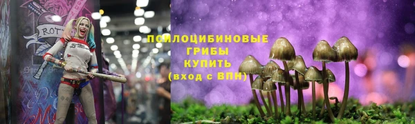 гидра Баксан
