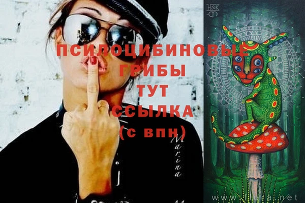 молекула духа Аркадак