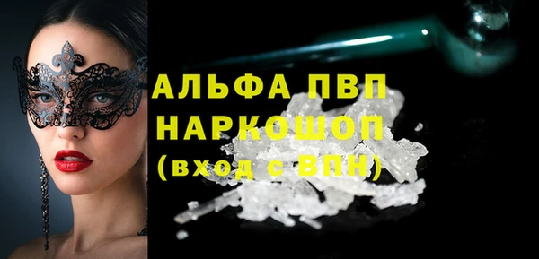 молекула духа Арсеньев
