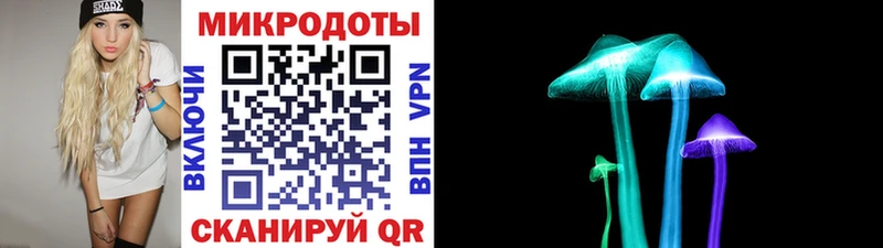 Псилоцибиновые грибы Psilocybine cubensis  площадка клад  Кудрово 