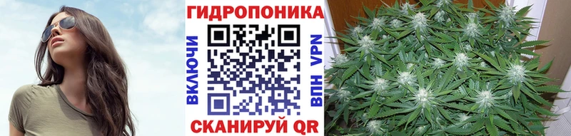Каннабис марихуана  Кудрово 